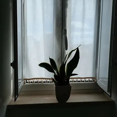 Casa Da Canhota Dom wakacyjny *